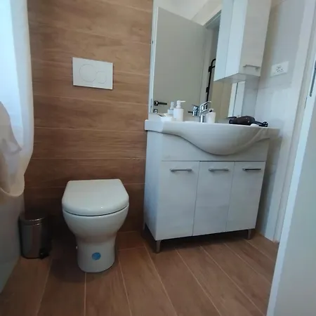 Gate To Venice 公寓 梅斯特雷